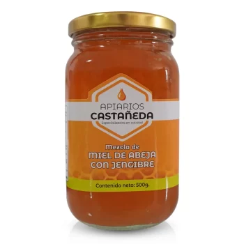 Mezcla de miel de abeja con jengibre 500g